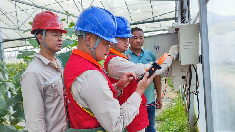 國網漳平市供電公司：“村網共建”聚合力 攜手共促鄉村振興