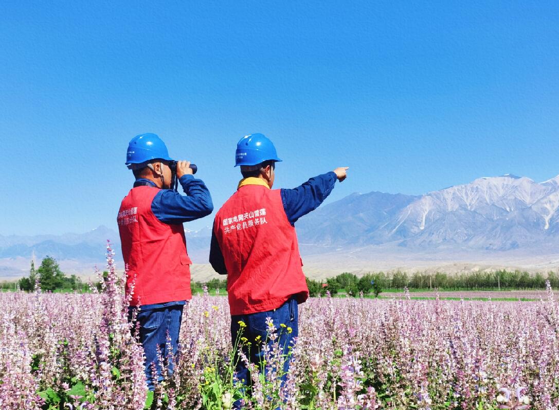 國網博爾塔拉供電公司花開時節保電忙 助力鄉村“旅游紅”