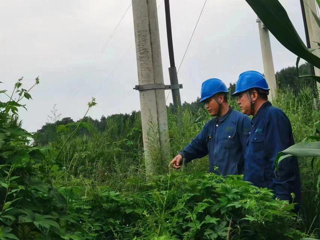 國網長春供電公司積極應對極端天氣，確保線路設備穩定運行