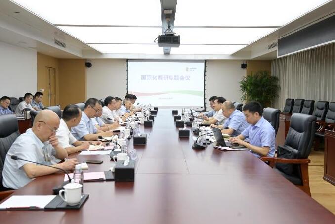 陳海斌到五凌電力開展安全生產督導檢查和國際化發展專題調研