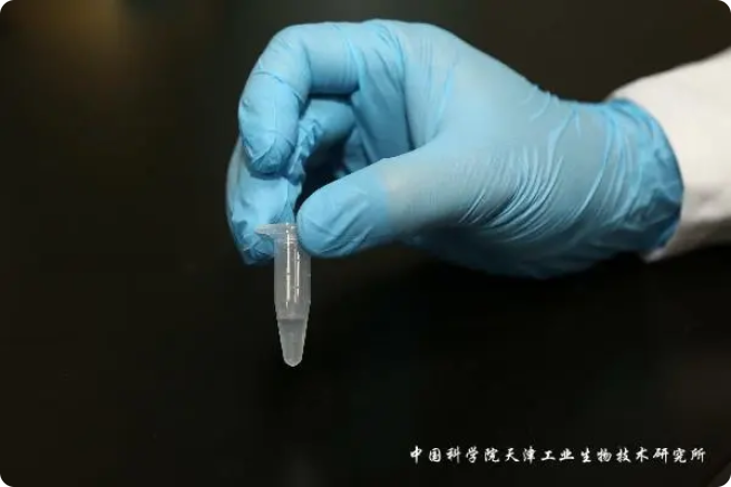 二氧化碳“變身”糖，中國科學家實現重大突破!