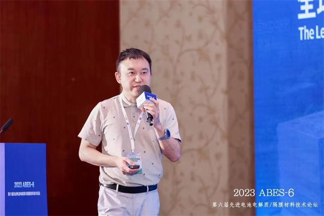 加快實現能源自主，比克鈉電電池展現顯著性能優勢