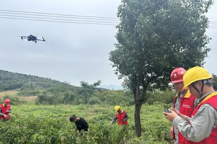 國網桂陽縣供電公司 無人機“巡線” 為秋檢“添翼”