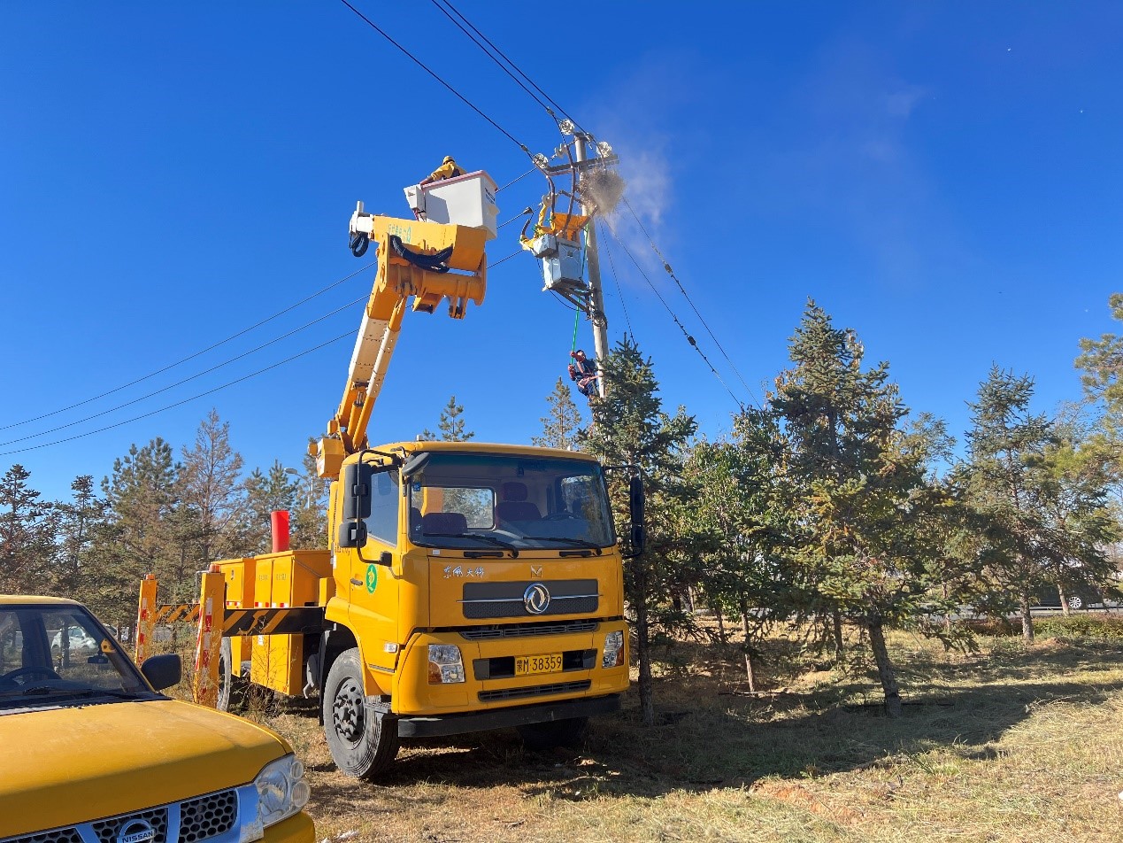 阿拉善供電公司配電帶電作業處：帶電消缺早行動 拆除鳥巢線路安