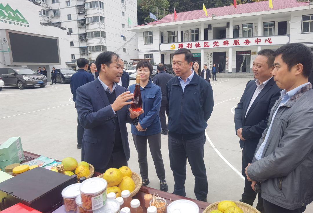中核集團總經理、黨組副書記顧軍赴陜西白河、旬陽調研鄉村振興工作