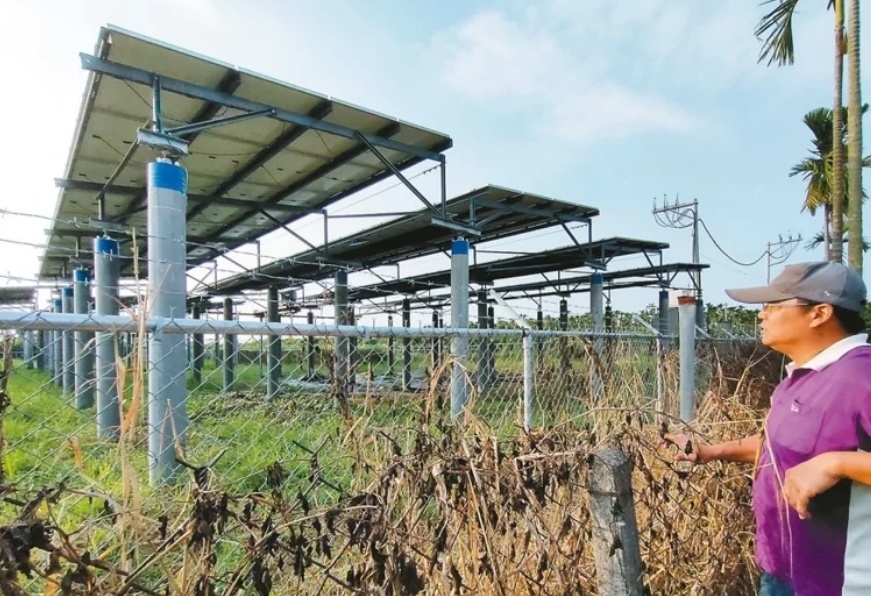 臺媒：農田“種電”讓農民苦不堪言，島內面臨農電兩失困境