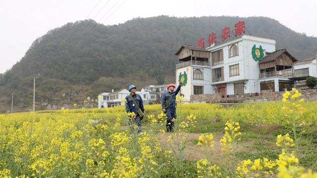 貴州貞豐供電局優質服務助力智慧農業春耕備耕
