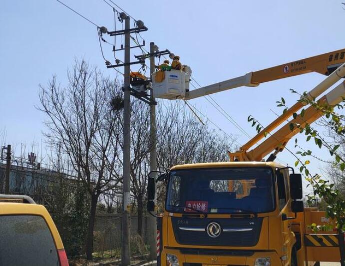 國網偃師供電公司帶電作業除鳥害隱患消缺零感知