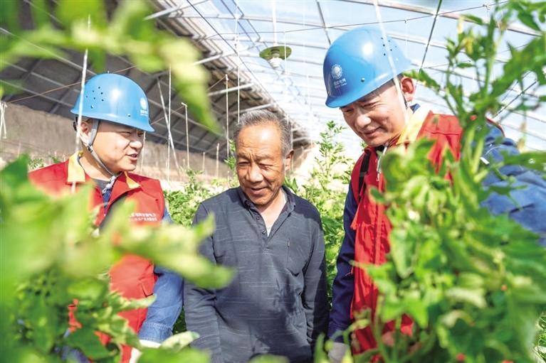 國網榆中縣供電公司黨建賦能強保障 農業生產電力足