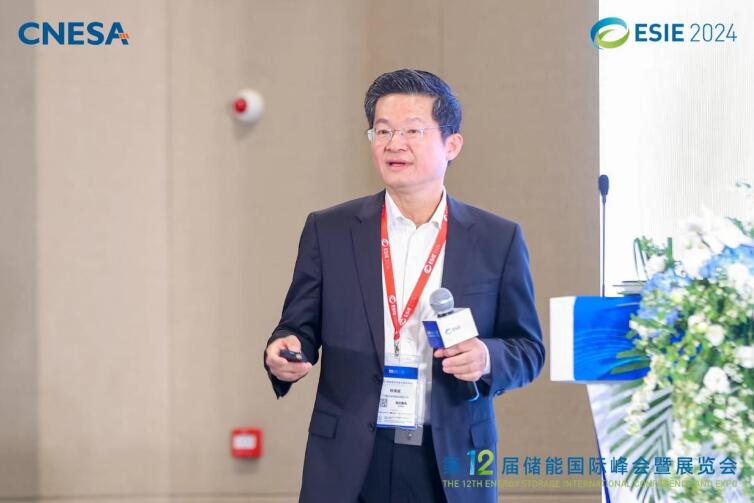 林澤波：儲能企業出海不是價格競爭，而是以定制優質產品和服務實現可持續發展