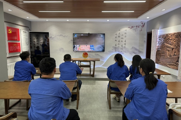 內蒙古電力集團烏海千里山供電公司團支部（青工委）安全生產青年行，爭當安全吹哨人