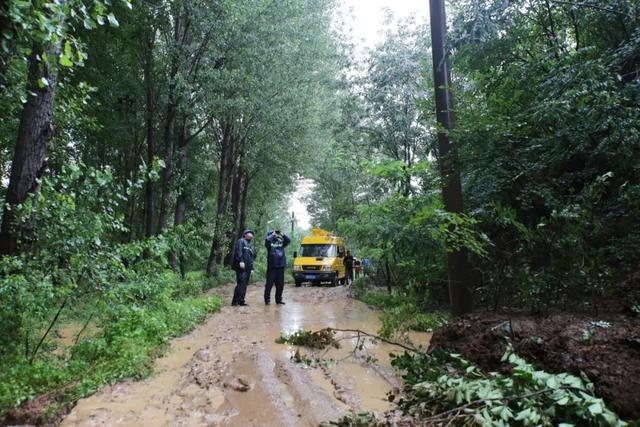 受損嚴重 國網遼寧電力公司迅速啟動暴雨、強對流天氣藍色預警
