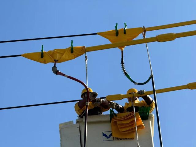 國網民權縣供電公司帶電作業迎戰秋老虎 消除設備隱患保供電