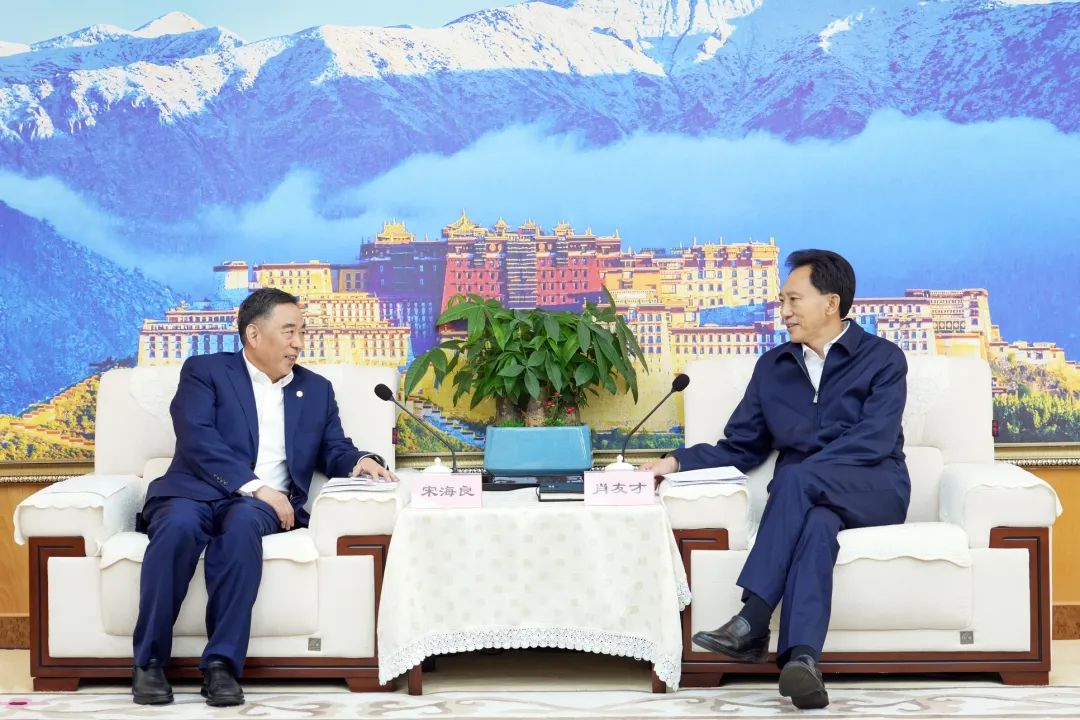 中國能建與西藏自治區簽署戰略合作協議