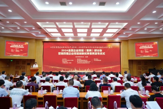 電建新能源公司黨建工作成果入選“2024年度全國企業黨建創新優秀案例”