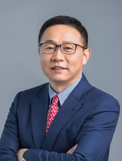 華為汪濤：用數智化技術，解決新型電力系統世界級難題