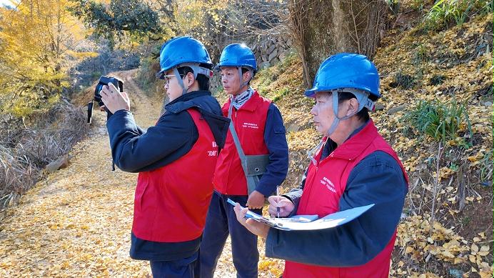 國網政和縣供電公司用心護航“金”杏美　助力縣域旅游業發展