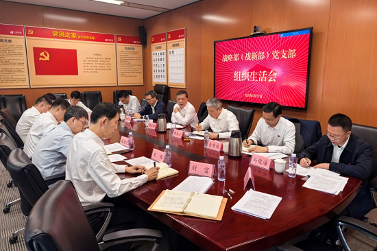 華能集團黨組副書記張文峰參加集團公司戰略部黨支部2024年度組織生活會