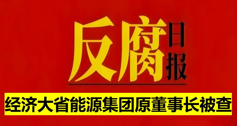 經濟大省能源集團原董事長被查！