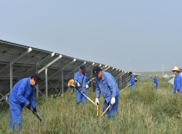 同煤漳澤發電分公司光伏現場對癥下“藥”除頑疾