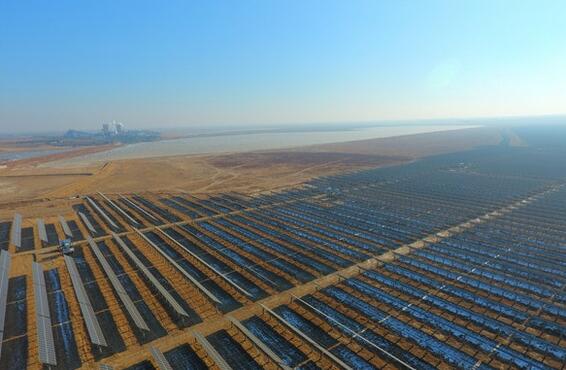 抽干6000畝濕地建光伏，這還是“綠色經濟”嗎？